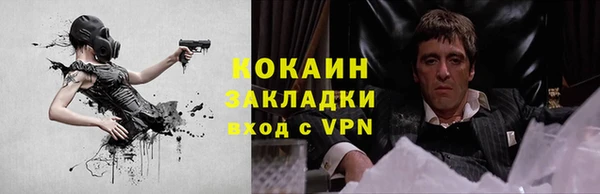 сатива Балахна
