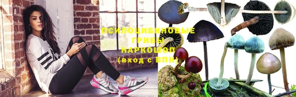 сатива Балахна