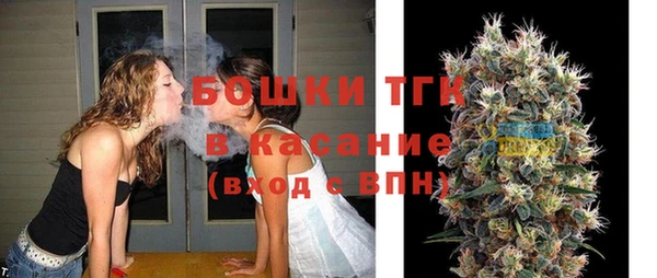 шишки Баксан